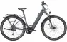 Bulls Cross Flyer EVO 2 - 29 Zoll 9K Wave