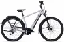 Bulls Cross Lite EVO 1 750 - 29 Zoll 11K Diamant