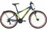 Bulls Sharptail Street 1 - 21K Diamant