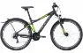 Bulls Sharptail Street 1 21K Diamant