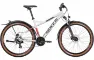 Bulls Sharptail Street 3 - 27.5 Zoll 24K Diamant, Grau, L