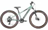 Bulls Tokee 24 Disc - 7K Diamant