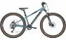 Bulls Tokee 26 Disc - 8K Diamant