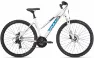 Bulls Wildcross - 21K Trapez