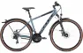 Bulls Wildcross Street - 21K Trapez