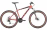 Bulls Wildtail 1 - 21K Diamant