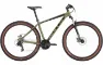 Bulls Wildtail 1 Diamant