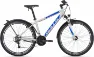 Bulls Wildtail Street - 18K Diamant