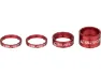 Rot
