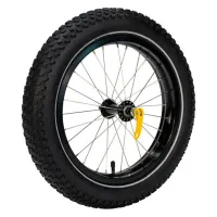 Burley Coho 16 Wheel Kit Ersatzteil Burley Coho 16 Wheel Kit Ersatzteil