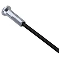 Campagnolo Bora One 50 Vordere Rechte Speichen 4 Einheiten Campagnolo Bora One 50 Vordere Rechte Speichen 4 Einheiten