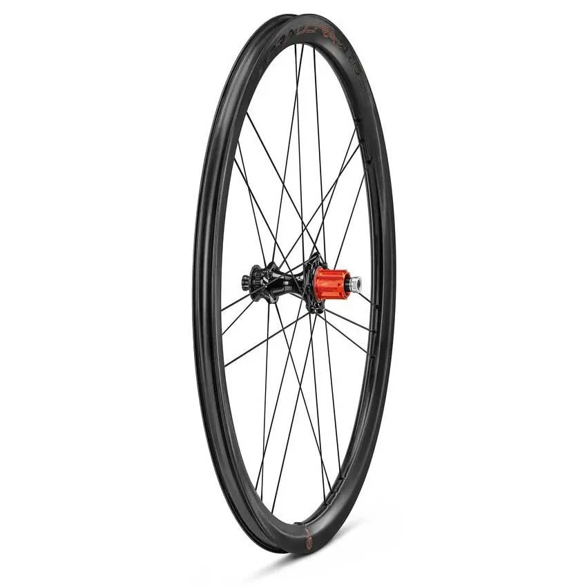 Campagnolo Bora Ultra Wto Db 35 C23 2wf Cl Disc Tubeless Rennrad-hinterrad, Black, 12 x 142mm, Campagnolo