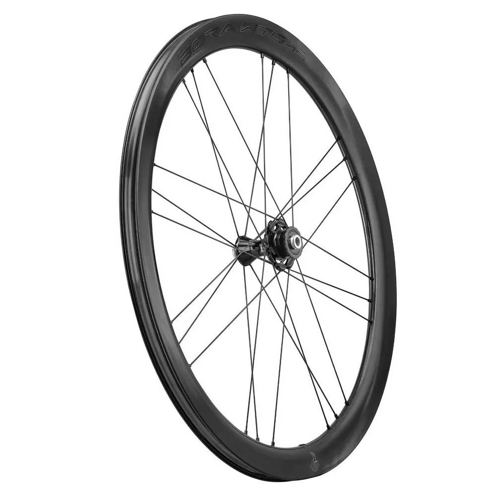 Campagnolo Bora Wto Db 45 C23 2wf Cl Disc Tubeless Rennrad-vorderrad, Black, 12 x 100mm