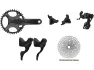 Campagnolo Ekar Gruppe 13-fach 40 mit Scheibenbremse, Schwarz, 175.0mm 40 Zähne/9-42