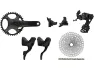 Campagnolo Ekar Gruppe 13-fach 42 mit Scheibenbremse, Schwarz, 175.0mm 42 Zähne/9-42