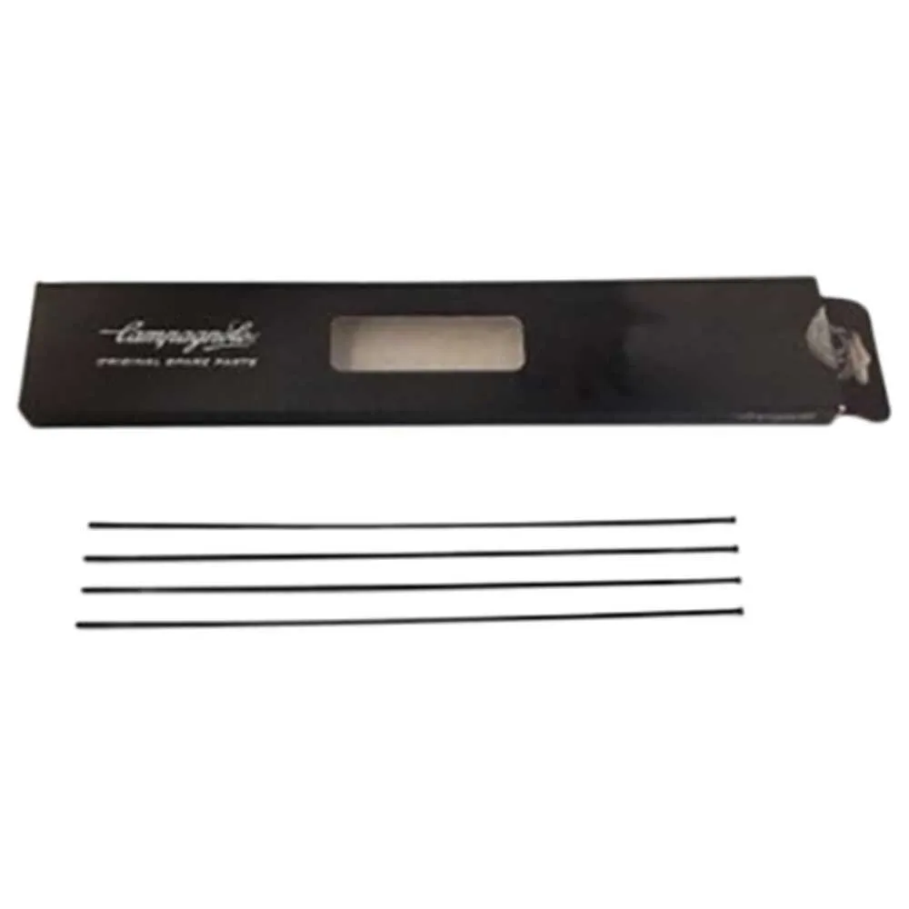 Campagnolo Wto 45 Vordere Rechte/hintere Linke Speichen 4 Einheiten, Black, One Size Campagnolo Wto 45 Vordere Rechte/hintere Linke Speichen 4 Einheiten, Black, One Size