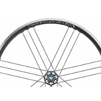 Campagnolo Zonda Ersatzspeichen Modell 2013-2016 Campagnolo Zonda Ersatzspeichen Modell 2013-2016