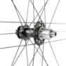 Campagnolo Zonda Gt Db 2wf C23 Disc Tubeless Rennrad-hinterrad, Black, 12 x 142mm, Campagnolo N3W