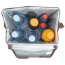 Campingaz Minimaxi Ethnic 19l Weiche Tragbare Kühlbox, Grey, One Size