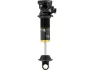 Cane Creek Coil IL G2 Double Barrel Trunnion Stahlfederdämpfer