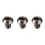 Cane Creek Kettenblattschraubensatz 3 Einheiten, Silver, One Size