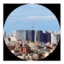 Canon Binocular Is Iii 12x36 Fernglas, Black, One Size