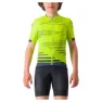 Electric lime / belgian blue