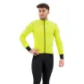 Yellow / grey