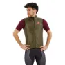 Moss brown 1