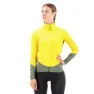 Saffron / military green