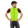 Electric lime