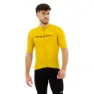 Goldenrod / deep bordeaux