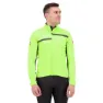 Light green / dark grey / black