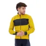 Goldenrod / dark grey