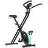 Cecotec X-bike Heimtrainer, Black / green, One Size