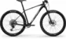 Centurion Backfire Carbon 2000 carbon/weißsilber 29" Diamant