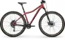 Centurion Backfire Fit Pro 200 HP2 cranberry 29" Diamant