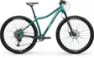 Centurion Backfire Fit Pro 600 HP3 lagunagrün 29" Diamant
