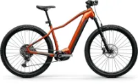 Centurion Backfire Fit R2000i bernstein 29" 750 Wh Diamant Centurion Backfire Fit R2000i bernstein 29" 750 Wh Diamant