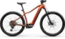 Centurion Backfire Fit R2000i bernstein 29" 750 Wh Diamant