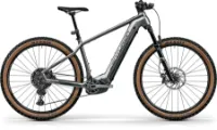 Centurion Backfire R2700i/R2600i grau/anthrazit 29" 750 Wh Diamant Centurion Backfire R2700i/R2600i grau/anthrazit 29" 750 Wh Diamant