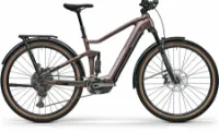 Centurion Lhasa R2700i EQ weißsilber/grau 29" 750 Wh Diamant Centurion Lhasa R2700i EQ weißsilber/grau 29" 750 Wh Diamant