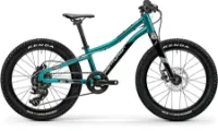 Centurion R' Bock 20 laguna grün 20" Diamant Centurion R' Bock 20 laguna grün 20" Diamant