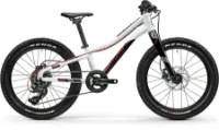Centurion R' Bock 20 polarweiß 20" Diamant Centurion R' Bock 20 polarweiß 20" Diamant