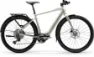 Centurion Speeddrive R2000 D EQ Vintage Grau 28" 400 Wh Diamant