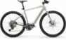 Centurion Speeddrive R2000 D Vintage 28" 400 Wh Diamant, Grau, L