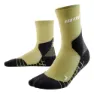 Olive 2