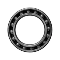 CeramicSpeed 61802 Coated Single Lager