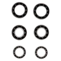 CeramicSpeed Cannondale-1 Lager CeramicSpeed Cannondale-1 Lager