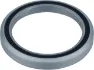 CeramicSpeed Ersatzlager Coated 1 3/8" für Factor Steuersatz, Silver, 37 x 48.9 x 6.5mm